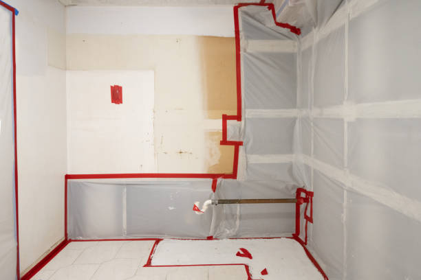 Environmental Consulting for Mold Prevention in Juno Beach, FL