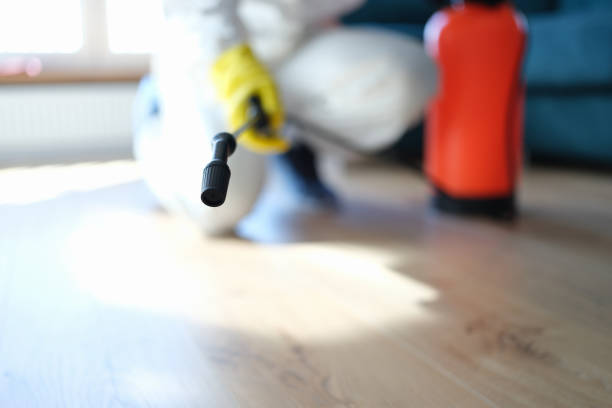 Best Post-Remediation Verification Testing  in Juno Beach, FL